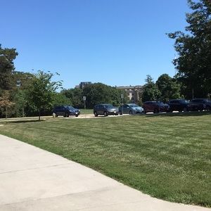 Meet your Posher, Calvin